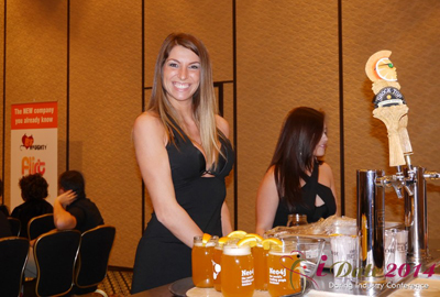 Reunião do Painel Final na Cimeira iDate 2014 em Las Vegas 